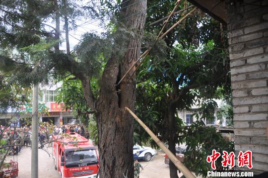 ���R���ߡ�ʧ�㡱����䶴�ྯ�N(li��n)��(d��ng)���ơ��߽���n