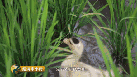 �Nˮ��Ҳ�ܮ�