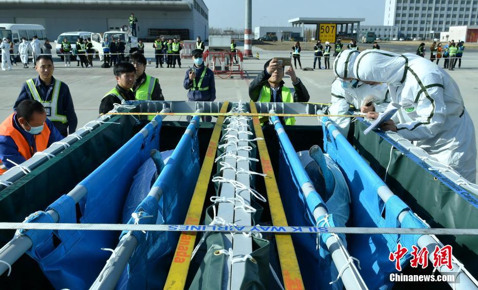 �ӱ��״Ό��C(j��)���\�����뾳