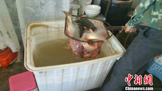 �S�Ӄ�(n��i)�ɹźӶ�ȫ���_ͨ�_���~���Ρ��ϲ���