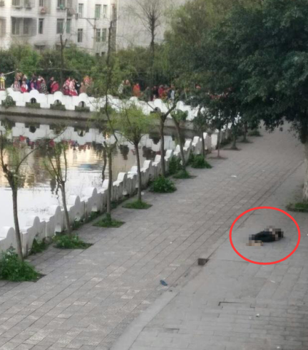 �����w���ΰl(f��)���߉�������֮ǰ���׽�(j��ng)�v��ʲô�������·Q�������C�P(gu��n)�����{(di��o)�顱��