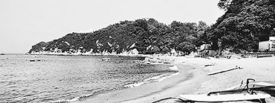 ����L(zh��ng)�ލu�����A���еġ���ϯ�󻨈@��