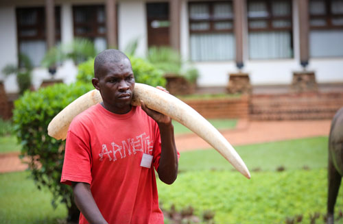 Ӣý:�|������F��ٿط���������˽��ȫ������(zh��n)