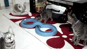 圖片默認(rèn)標(biāo)題