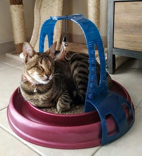 圖片默認(rèn)標(biāo)題