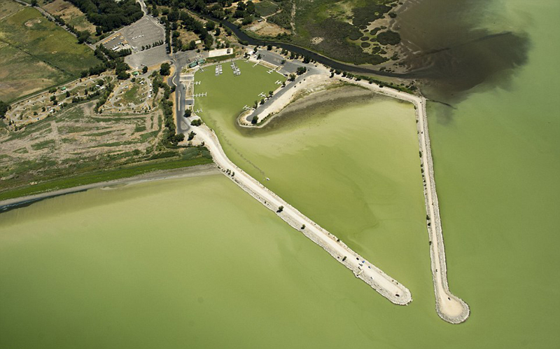 ���q�����{(l��n)�帲�w���� ���°����ж�