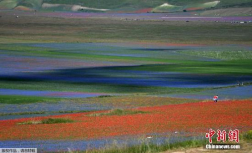 �Y�ψD������