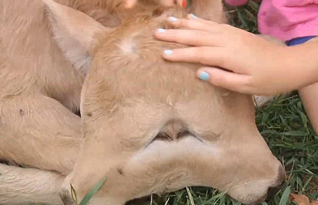 ����һ�r(n��ng)���Q�º�Ҋ���p��С����