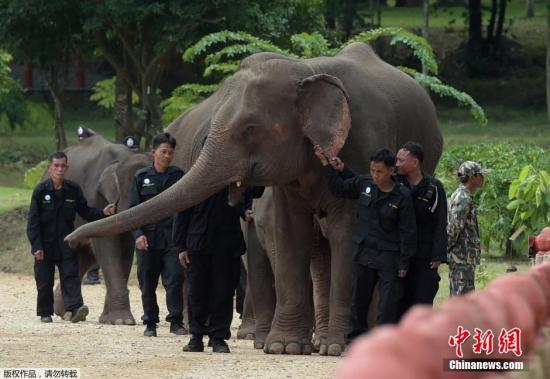 �Y�ψD������