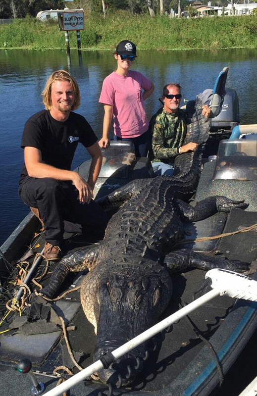 ���C�˲��@�s4���L���Ͷ����{ ���_(d��)635��