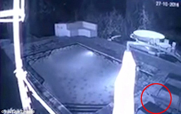 ��ǰ��һ����H�ڷ��޵�һ�g���^��Ӿ��ҹ�Εr��һֻ�{�~ͻȻ���M���g���r����c׃�����Ѫԡ��