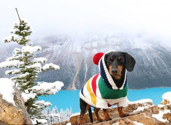 ��(j��)Ӣ����ÿ���]��(b��o)����(b��o)�������ô�7�q���D�cȮ�������ǂ�(g��)�W(w��ng)�t�����ڡ�Ę�V�����ѾW(w��ng)վ����140�f���۽z��