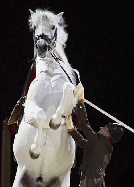 �W����֪���R�g(sh��)�W(xu��)ԺӢ��(gu��)���ݿ��л��������@�@