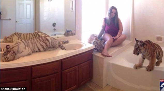 ���Ů����Σ������ĸ�H�ڼ���ɢ�B(y��ng)�{���ϻ�