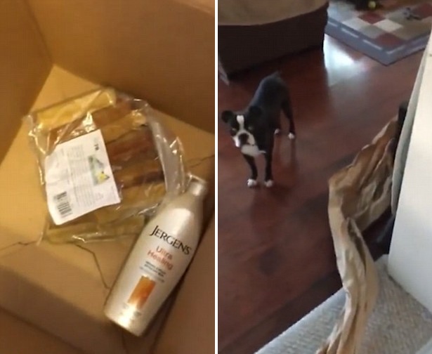 美市民網(wǎng)購快遞包中包裝紙竟長達(dá)21米 美市民網(wǎng)購快遞包中包裝紙竟長達(dá)21米