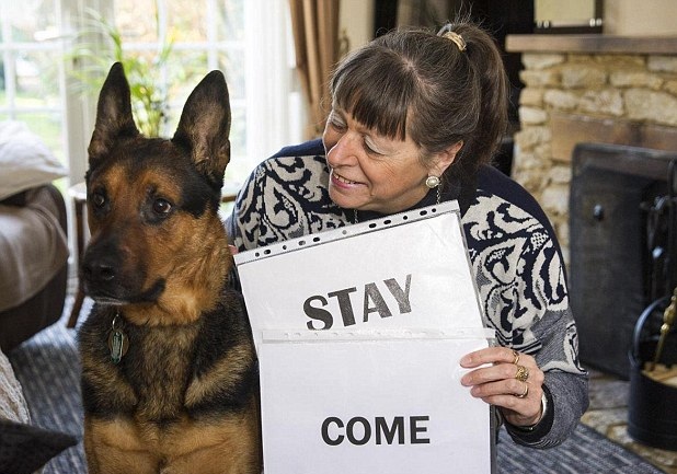 Ӣ���˹�׃��ȫ�ܹ� ��یW(xu��)��(x��)�� ��(hu��)��