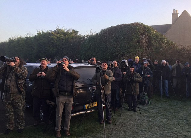 Ӣ��С��F(xi��n)��Ҋ�B����(sh��)���˼����C�Ĕz