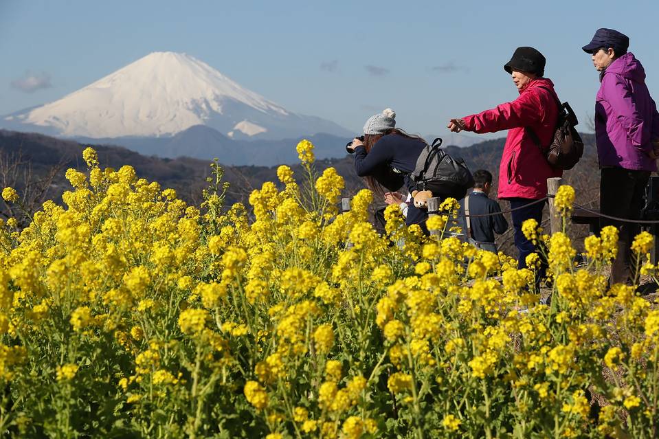 2016年赴日外國(guó)游客數(shù)量創(chuàng)紀(jì)錄新高 中國(guó)游客最多 2016年赴日外國(guó)游客數(shù)量創(chuàng)紀(jì)錄新高 中國(guó)游客最多