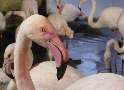 �o��ꡰ���������q��򡱺��o���w�� ֻ�����п���