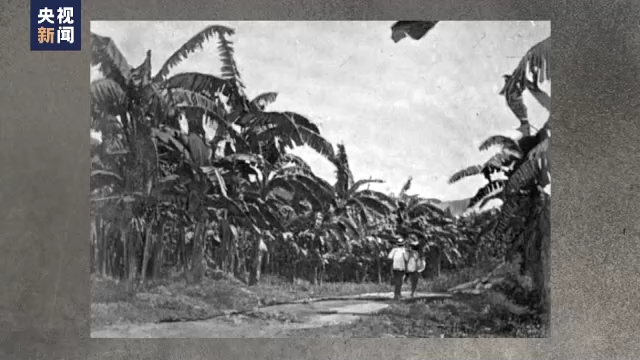 瘋狂掠奪 霸占壟斷 美式“霸道”橫行拉美