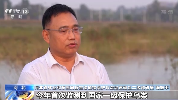 ������B(ni��o)��ح�҇�(gu��)���B(t��i)�h(hu��n)�����m(x��)���� �������B(ni��o)�v�㡰���͡�