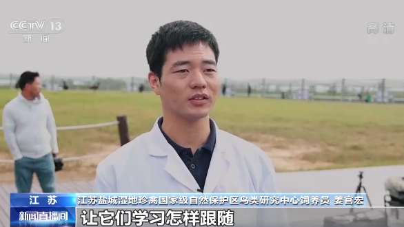 ������B(ni��o)��ح�҇�(gu��)���B(t��i)�h(hu��n)�����m(x��)���� �������B(ni��o)�v�㡰���͡�