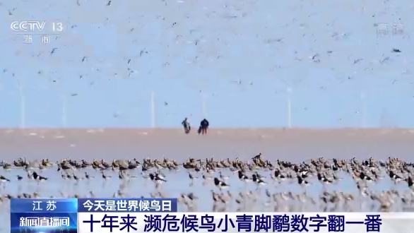 ������B(ni��o)��ح�҇�(gu��)���B(t��i)�h(hu��n)�����m(x��)���� �������B(ni��o)�v�㡰���͡�