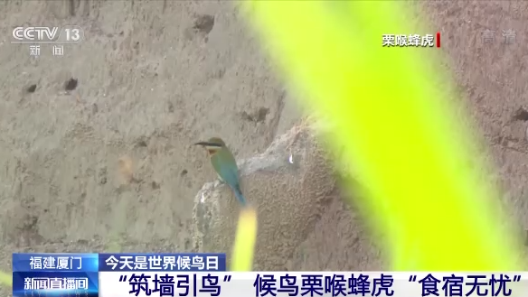 ������B(ni��o)��ح�҇�(gu��)���B(t��i)�h(hu��n)�����m(x��)���� �������B(ni��o)�v�㡰���͡�