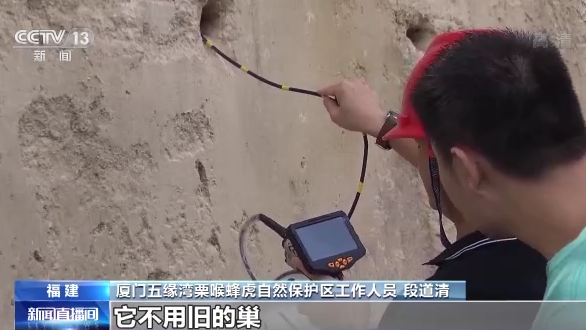 ������B(ni��o)��ح�҇�(gu��)���B(t��i)�h(hu��n)�����m(x��)���� �������B(ni��o)�v�㡰���͡�