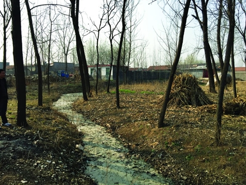 ������?q��ng)?b��o)�u(p��ng)��486���_(t��i)���f��ʿ��ǻ�Ұ67�d��