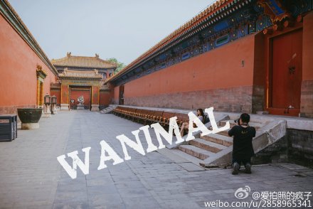 �zӰ���ڹʌm���Ĕz���wˇ�g�������h(�D)