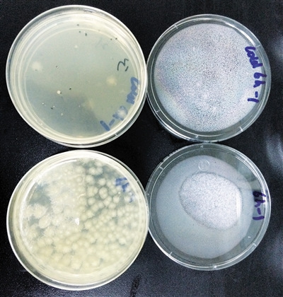 ��ؗl����Ʒ(��)��������Ʒ(��)�о��係��(sh��)�������@��