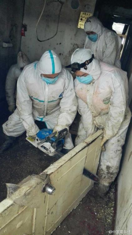 �|��֮��̖���y���z���œ