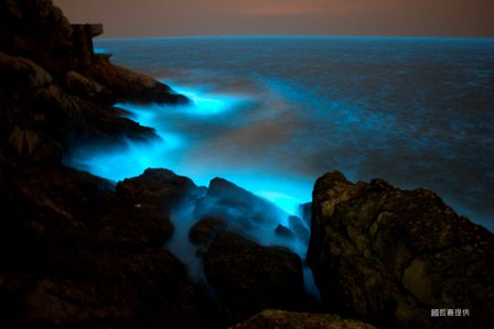 �_(t��i)�Õ�(hu��)�����R������ÿ�˿ɫ@2000Ԫ���_(t��i)���a(b��)��