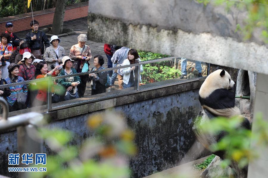 (經(jīng)濟(jì))(7)兩岸“三通”五年間 (經(jīng)濟(jì))(7)兩岸“三通”五年間