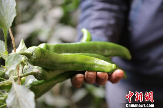 臺(tái)媒重走絲綢之路感知古老文化期待經(jīng)濟(jì)重生 臺(tái)媒重走絲綢之路感知古老文化期待經(jīng)濟(jì)重生