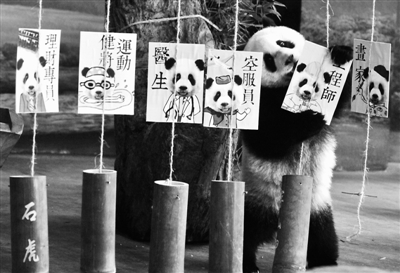 ���A�С�һ�q����