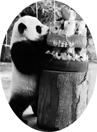 ���A�С�һ�q����