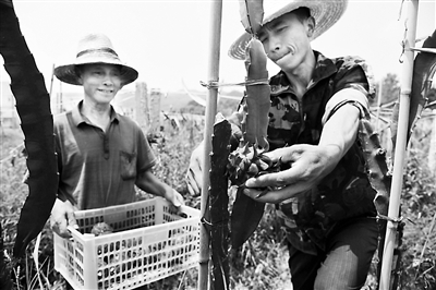 �_(t��i)��ˮ���������