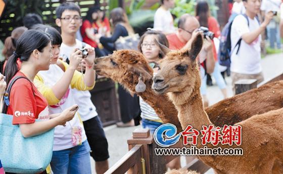 ���50������纣���� ���c�_(t��i)��50������(li��n)�g