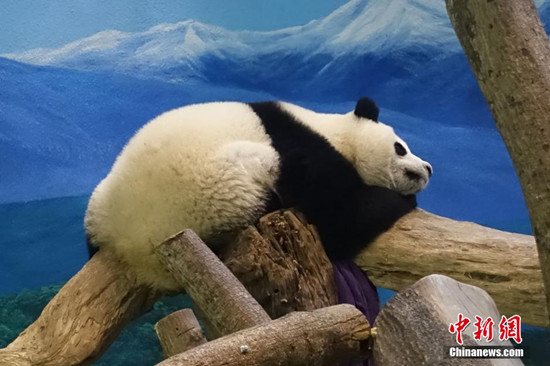 �_(t��i)�����棺����؈ǧ�𡰈A�С��_ʼ��(d��)������