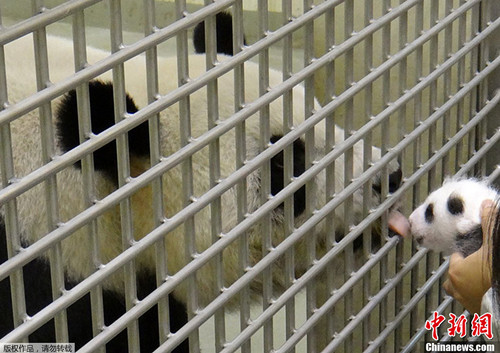 �A�г����r��������С��ҧ��С�����M�뱣���䯟����һ���º����A�и����F�ڗU�c�A�A�״�Ҋ�����A���mȻ�۾�߀δ���_���sͻȻ������ǰ�ęڗU���۴�����·�֪������������ǰ���A�AҲ���Qʾ�������r������^���ÈA�����ڈ��ı����T��ʾ�����ā�]�� �A�A�@�ӽ��^����