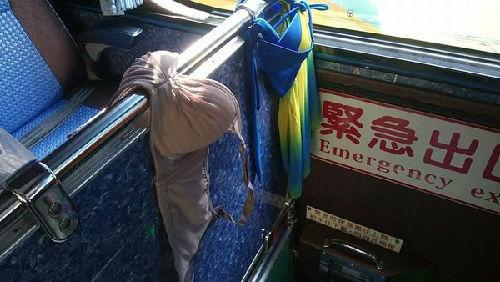 ����ο�ֱ�������[܇(ch��)�������(n��i)�¡����Y�ψDƬ���_(t��i)���|ɭ���W(w��ng)��