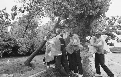 當(dāng)兩岸青年邂逅“蘇迪羅”同伸援手齊救災(zāi)(圖)