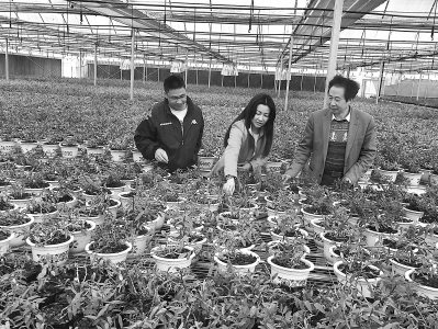 �_(t��i)��ϱ�D�ִ仨�ġ�ů����