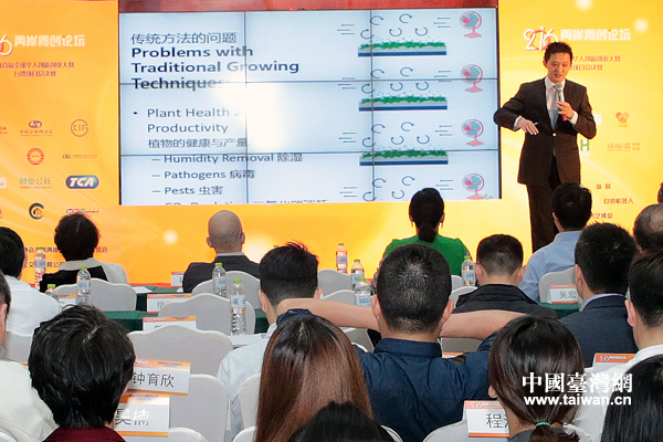 把菜種到“墻上” 這樣的創(chuàng)意你也可以在家試試 把菜種到“墻上” 這樣的創(chuàng)意你也可以在家試試