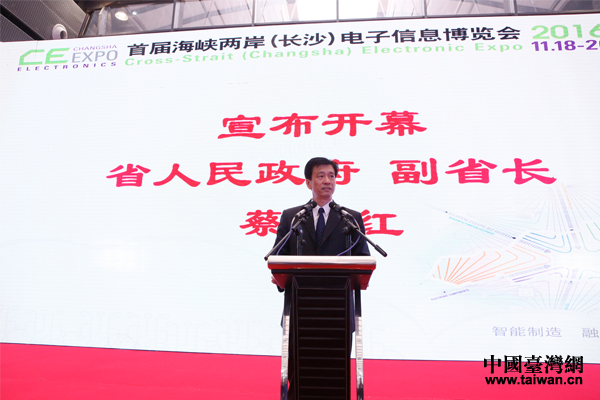 海峽兩岸(長沙)電子博覽會 海峽兩岸(長沙)電子博覽會