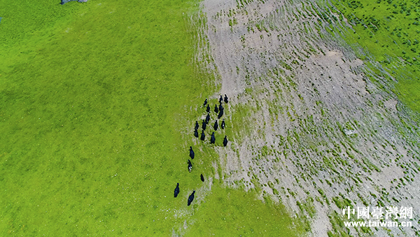 甘孜州草原風(fēng)光 甘孜州草原風(fēng)光