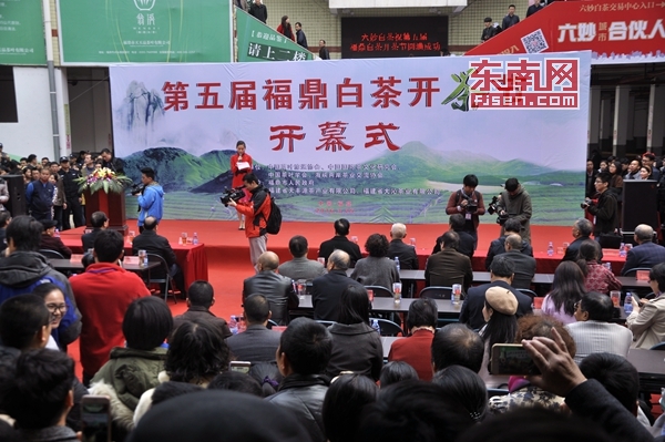 “中國白茶之鄉(xiāng)”福鼎舉辦第五屆白茶開茶節(jié) “中國白茶之鄉(xiāng)”福鼎舉辦第五屆白茶開茶節(jié)