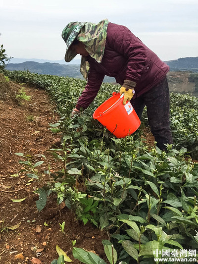 ���L�F(tu��n)һ�Ѕ��^�����I(y��)�����Ї�(gu��)�_(t��i)���W(w��ng)ӛ�� ���� �z��